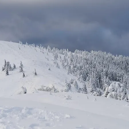 Ema دونوفالي