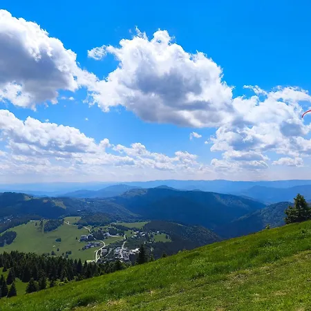 Ema Доновалы