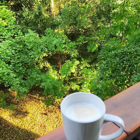 Ema Апартаменты *