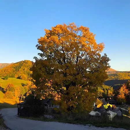 Апартаменты Ema *